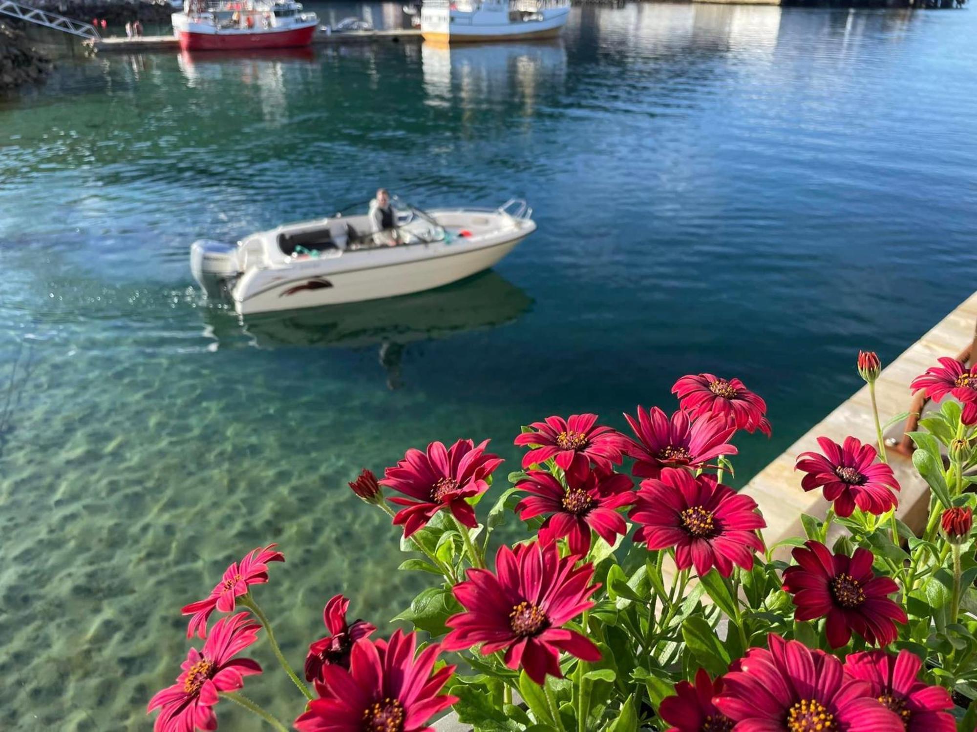 1. Etg I Dampskipsbrygga, Lodingen Havn Екстер'єр фото