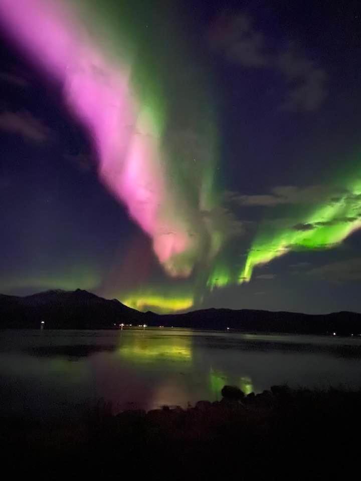 1. Etg I Dampskipsbrygga, Lodingen Havn Екстер'єр фото